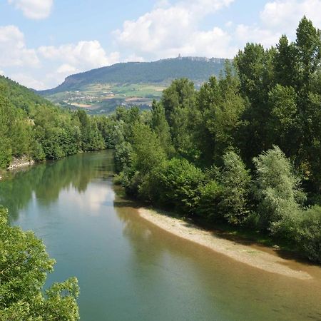 Gite Le P'Tit Rene La Cresse Buitenkant foto
